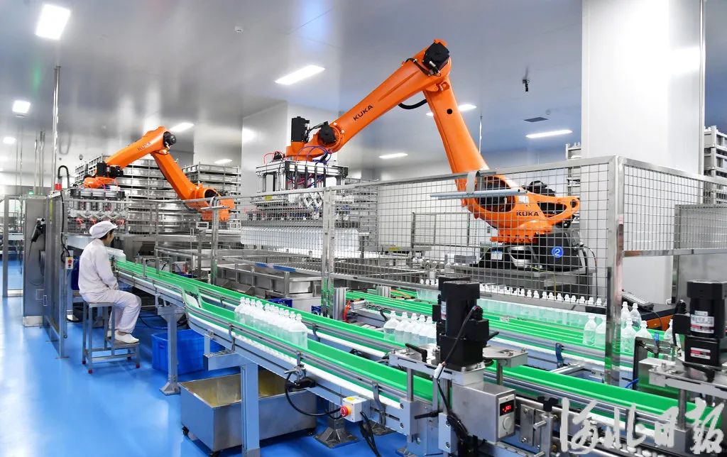 河北日报丨《AI赋能千行百业一线故事丨视觉AI当“监工” 算法筛药当“军师”》